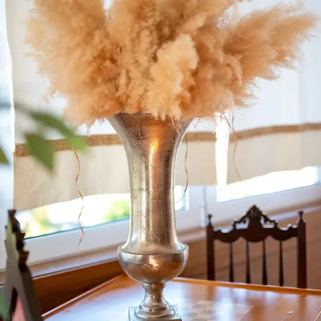 Casa Flor Do Campo Celorico de Basto