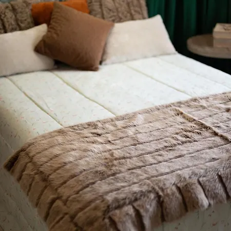 Casa Flor Do Campo Celorico de Basto