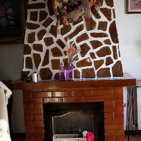 팜스테이 Casa Flor Do Campo 세로리코데바스토