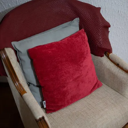 Alojamento de Turismo Rural Casa Flor Do Campo