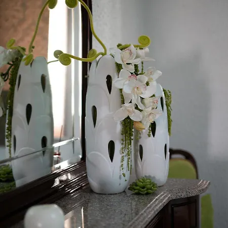 Casa Flor Do Campo * 塞洛里库迪巴什图