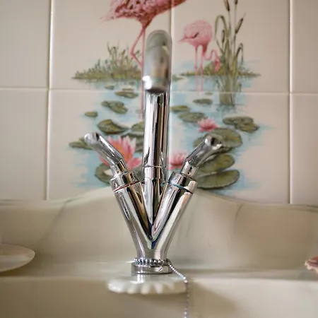 Casa Flor Do Campo Farmház *