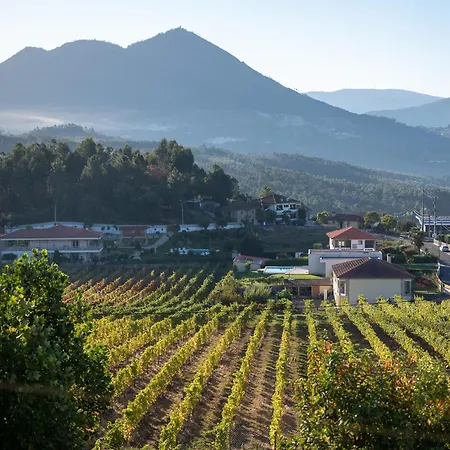 Farmház Casa Flor Do Campo