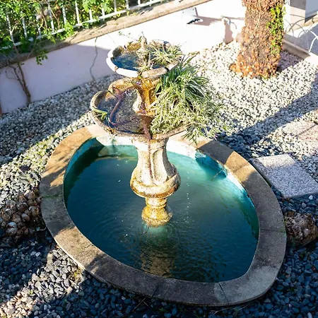 Casa Flor Do Campo Farmház *