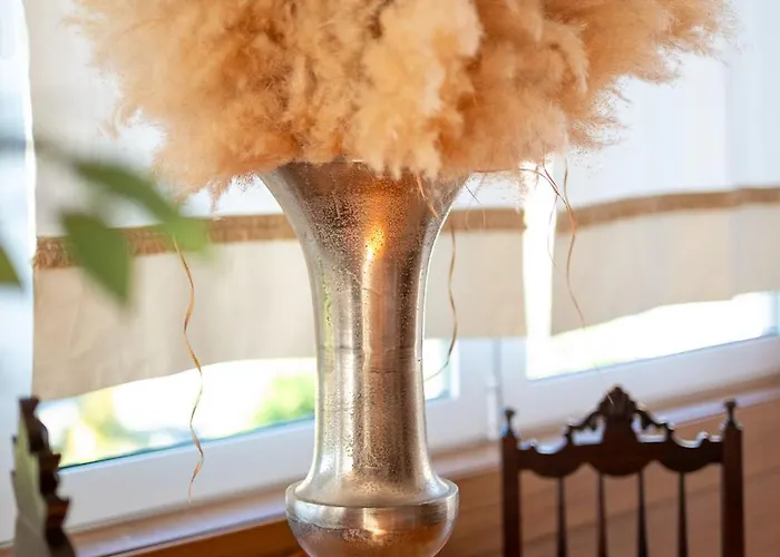 Casa Flor Do Campo 세로리코데바스토