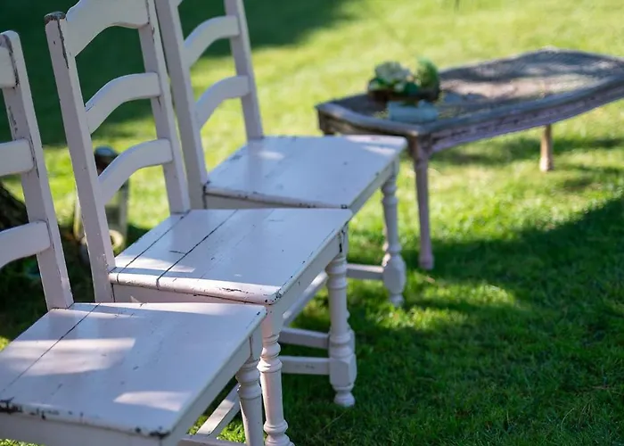 Casa Flor Do Campo Celorico De Basto